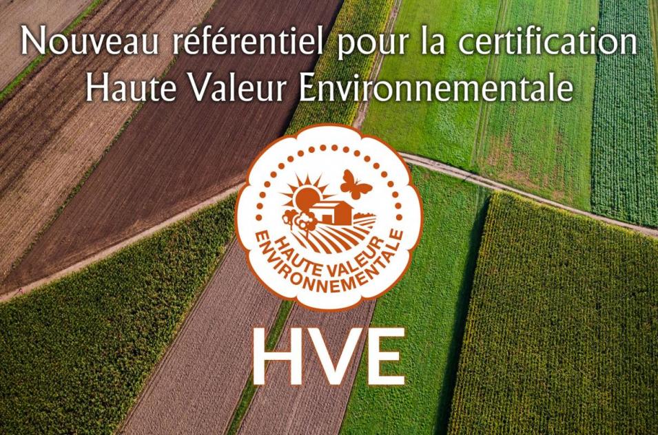 Options possibles pour la poursuite de la certification HVE des exploitations déjà certifiées