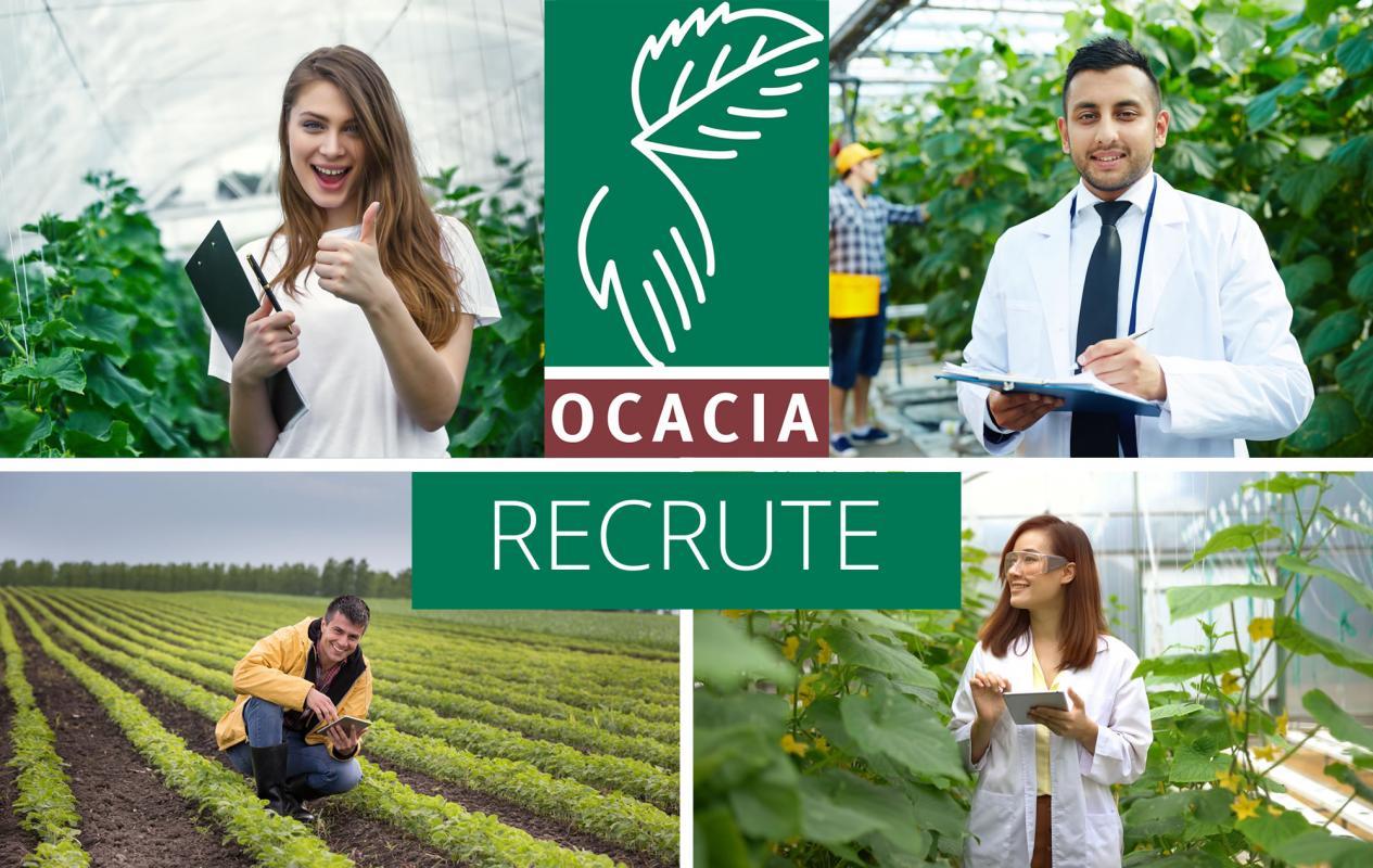 Ocacia cherche deux auditeurs(trices) en agriculture F/H en CDI pour le Région Centre