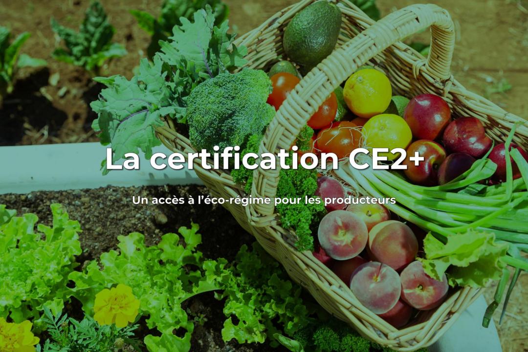 La certification CE2+